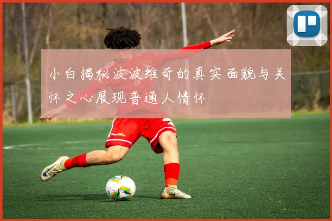小白揭秘波波维奇的真实面貌与关怀之心展现普通人情怀