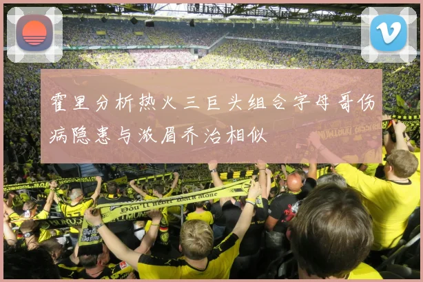 霍里分析热火三巨头组合字母哥伤病隐患与浓眉乔治相似
